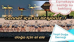 YEŞİL DOĞA DERNEĞİ SUSUZLUĞA DİKKAT ÇEKTİ 