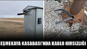 EŞMEKAYA KASABASI'NDA ARAZİDE KABLO HIRSIZLIĞI