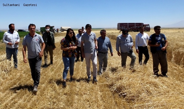 SULTANHANI KAYMAKAMI ALPASLAN HASAT YAPAN ÇİFTÇİLERİ ZİYARET ETTİ