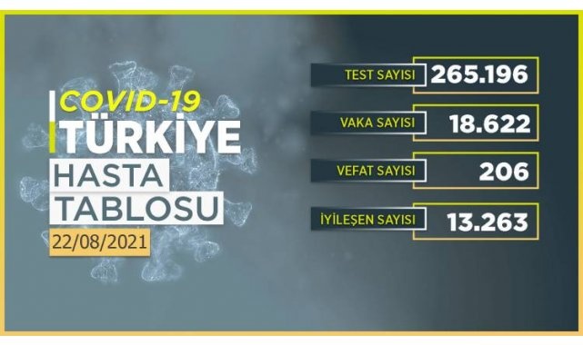 Koronavirüs tablosunda 22 Ağustos 2021 tarihli son durum açıklandı!