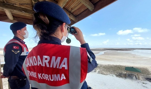 ESKİL TUZ GÖLÜ'NDE FLAMİNGO ÖLÜMLERİNE JANDARMA ÖNLEMİ