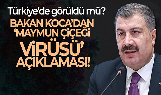 Sağlık Bakanı Koca: 'Bugüne kadar bizde maymun çiçeği vakası olmadı'