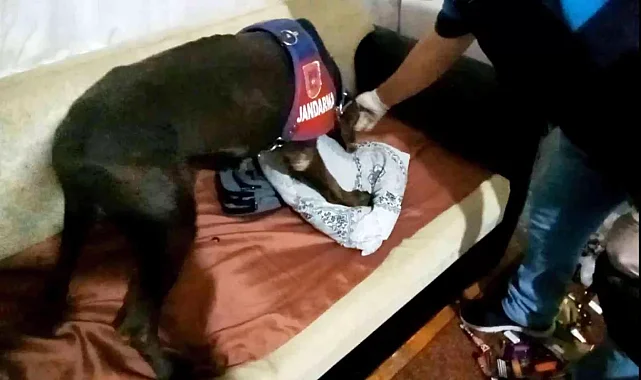 Aksaray'da Yastık altındaki uyuşturucuyu "Kaput" buldu