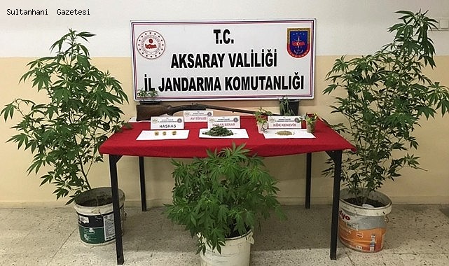GÜLAĞAÇ İLÇESİNDE EVİNİN BAHÇESİNDE KENEVİR YETİŞTİREN ŞAHSA OPERASYON