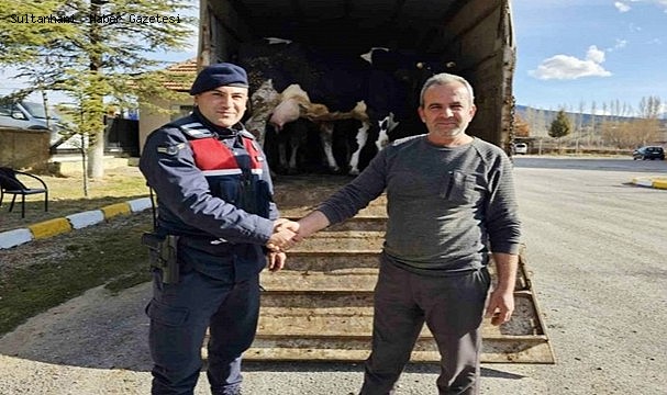 KONYA'DA 300 BİN LİRA DEĞERİNDE BÜYÜKBAŞ HAYVAN ÇALAN ZANLI YAKALANDI