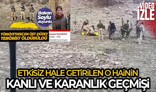 Türkiye’deki sözde en üst düzey terörist Hamiyet Yalçınkaya'nın karanlık geçmişi
