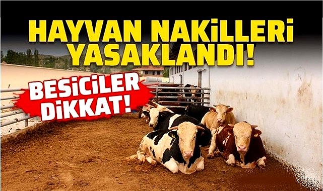 TÜRKİYE GENELİ ŞAP ALARMI! HAYVAN SEVKİYATLARI YASAKLANDI