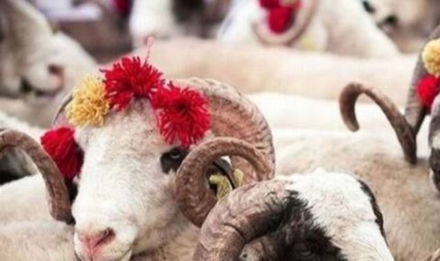 Türk Kızılayı'nın kurban vekalet fiyatları belli oldu