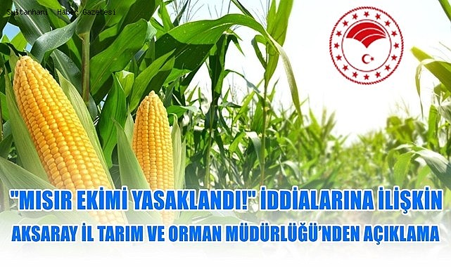 "MISIR EKİMİ YASAKLANDI" İDDİALARINA AKSARAY İL TARIM VE ORMAN MÜDÜRLÜĞÜ’NDEN AÇIKLAMA
