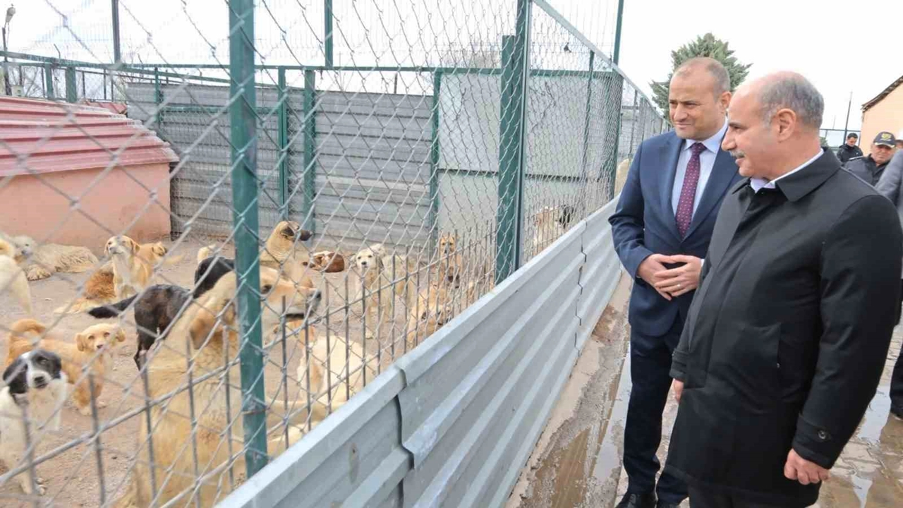 İçişleri Bakan Yardımcısı Aktaş Aksaray'da