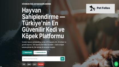 Aksaray İçin Ücretsiz Sahiplenme Rehberi: Bir İlan Bir Yuvaya Dönüşebilir