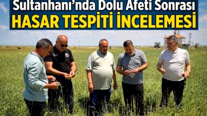 Sultanhanı'nda Dolu Afeti Sonrası Hasar Tespiti İncelemesi