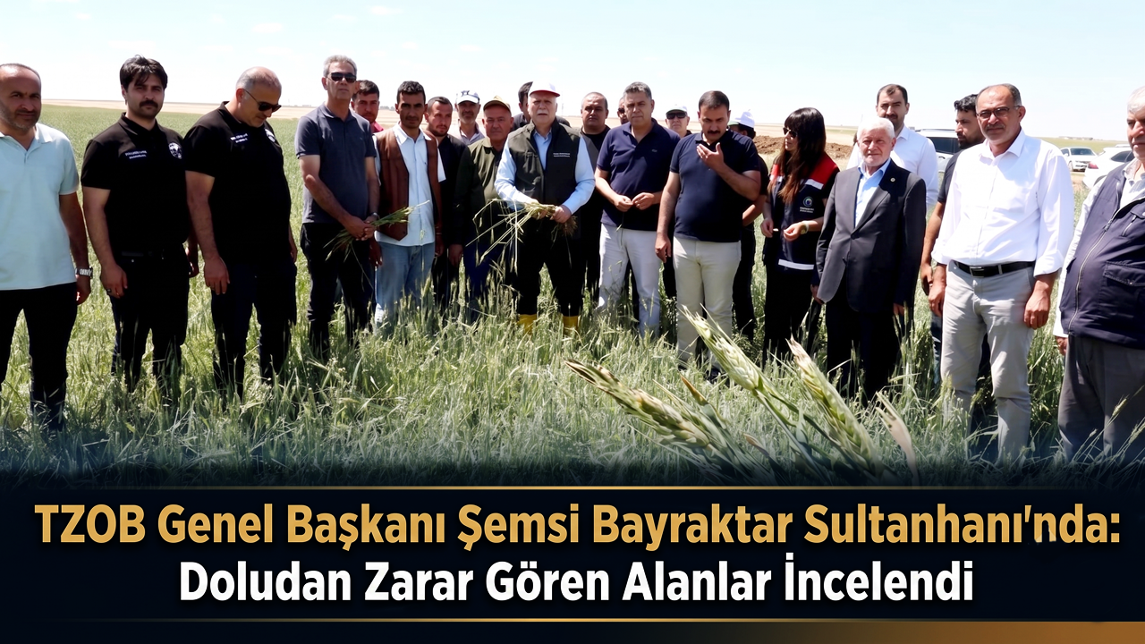 TZOB Genel Başkanı Şemsi Bayraktar Sultanhanı'nda: Doludan Zarar Gören Alanlar İncelendi