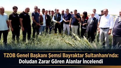TZOB Genel Başkanı Şemsi Bayraktar Sultanhanı'nda: Doludan Zarar Gören Alanlar İncelendi